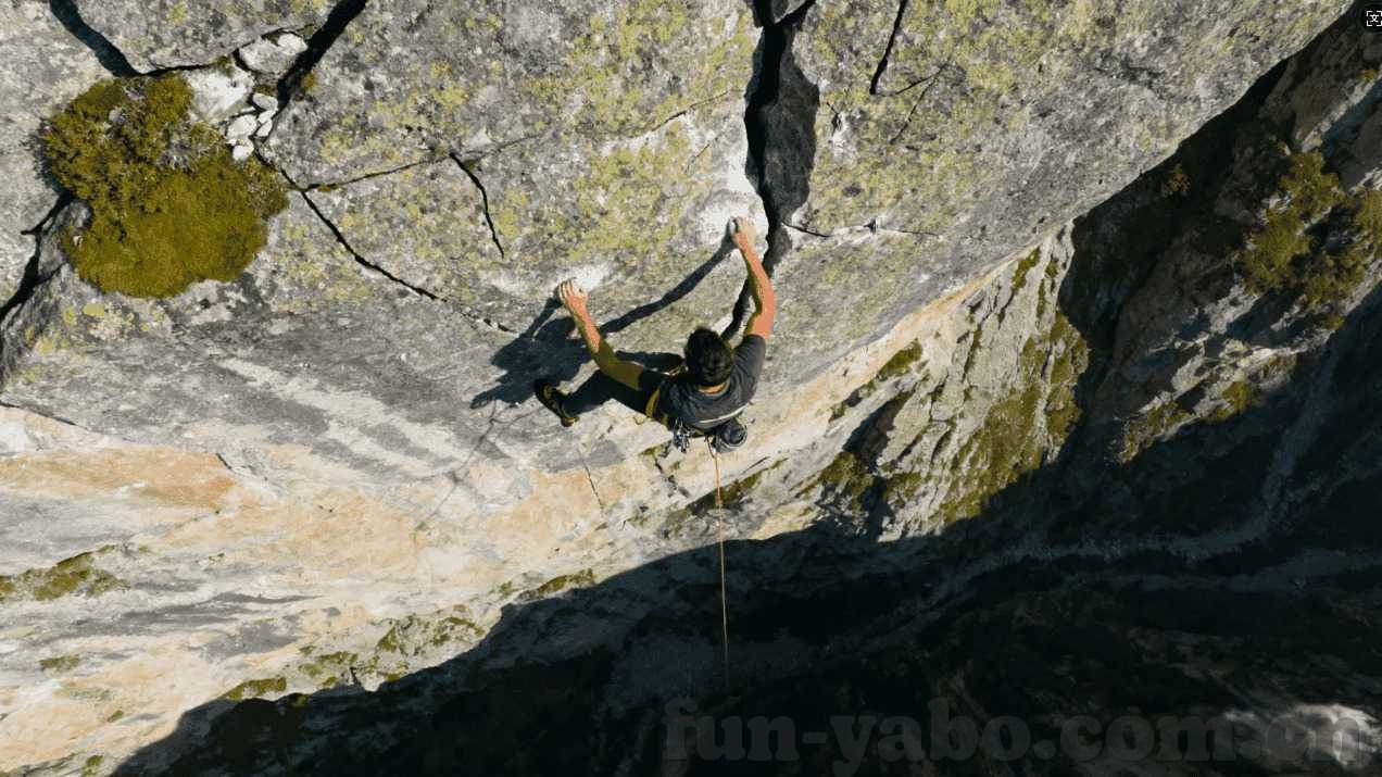 神雕侠侣手游下载九游-体验非凡，探索神雕侠侣手游下载在九游的旅程